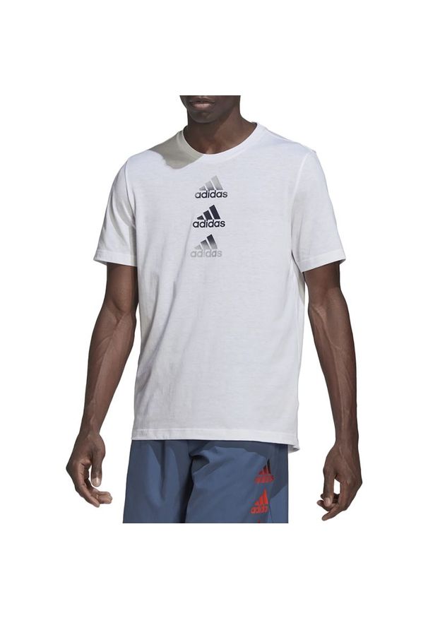Adidas - Koszulka adidas Designed To Move Logo HM4799 - biała. Kolor: biały. Materiał: materiał, dresówka, poliester, elastan. Długość rękawa: krótki rękaw. Długość: krótkie. Sport: fitness