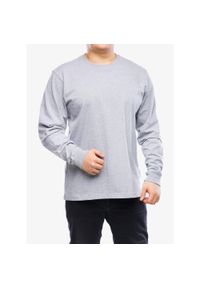 Koszulka z długim rękawem męska Carhartt Sleeve Logo T-Shirt L/S. Kolor: szary. Długość rękawa: długi rękaw. Długość: długie