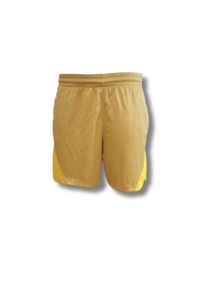 Spodenki sportowe damskie Nike Isofly Shorts Wmns. Kolor: zielony, wielokolorowy, brązowy