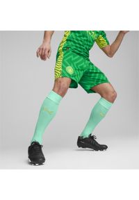 Puma - Szorty bramkarskie Manchester City PUMA Grassy Green Yellow Alert. Kolor: zielony, wielokolorowy, żółty. Sport: piłka nożna