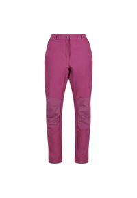 Regatta - Damskie Spodnie Trekkingowe Ze Stretchem Questra IV. Kolor: różowy #1