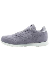 Buty do chodzenia dla dzieci Reebok CL Leather Mcc. Zapięcie: sznurówki. Kolor: wielokolorowy, szary. Materiał: guma, materiał, tkanina, syntetyk. Szerokość cholewki: normalna. Sport: turystyka piesza