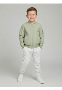 Sinsay - Spodnie jogger z przeszyciami - szary. Kolor: szary