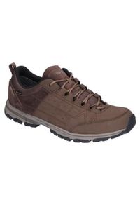 MEINDL - Buty Meindl Durban GTX. Kolor: brązowy