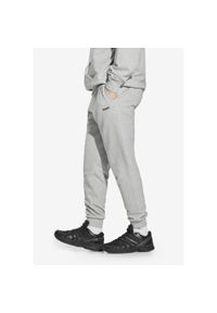Spodnie dresowe męskie Prosto Old Logo. Kolor: szary. Materiał: dresówka. Długość: długie #1