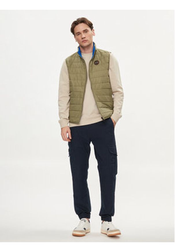 Napapijri Kamizelka Acalmar NP0A4H8G Zielony Regular Fit. Kolor: zielony. Materiał: syntetyk