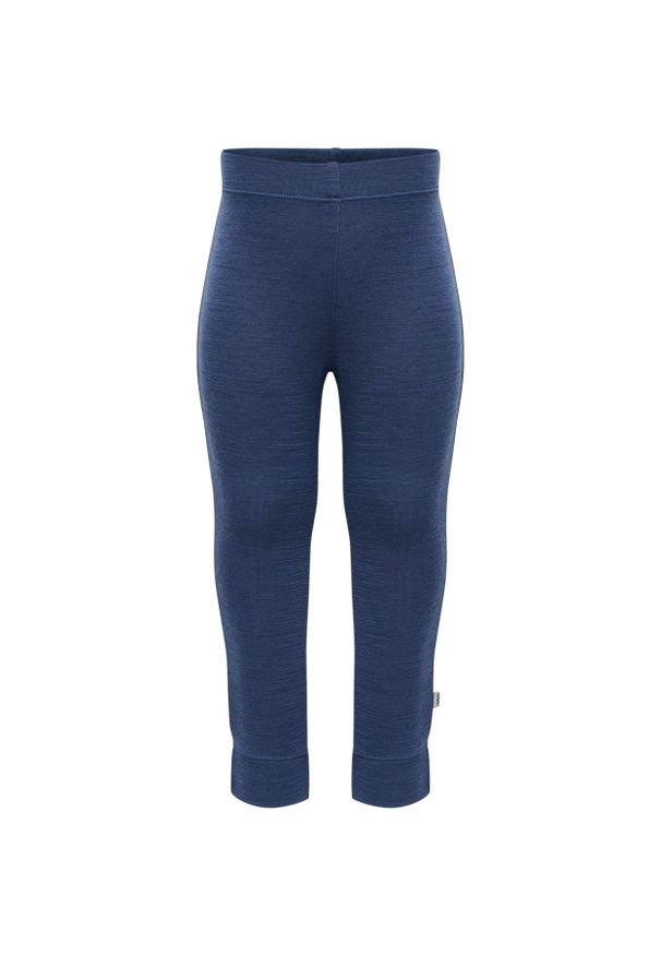 Dziecięce legginsy wełniane Hummel Mini. Kolor: niebieski. Materiał: wełna