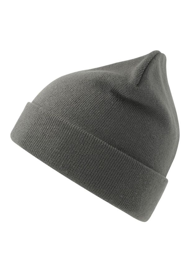 ATLANTIS - Czapka Unisex Dla Dorosłych Pier Polartech Lined Beanie. Kolor: szary. Sezon: zima