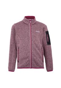 Regatta - Kurtka Dziecięca Newhill Fleece Jacket. Kolor: czerwony, wielokolorowy, różowy. Sezon: zima