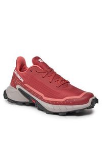 salomon - Salomon Buty do biegania Alphacross 5 W 473136 22 W0 Brązowy. Kolor: brązowy. Materiał: materiał #2