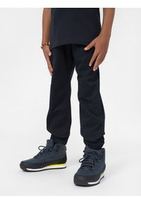 4F JUNIOR - Spodnie casual joggery chłopięce. Okazja: na co dzień. Kolor: niebieski. Materiał: bawełna, tkanina. Styl: casual #2