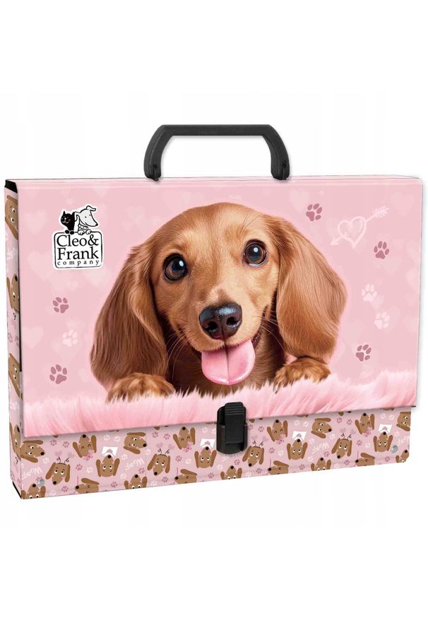 Derform Teczka z rączką Cleo i Frank 46 DERFORM