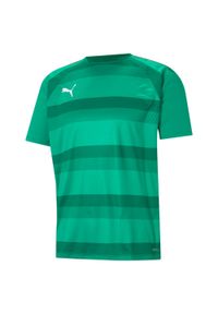 Koszulka Puma Team Vision. Kolor: zielony