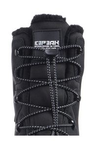 ICEPEAK - Icepeak Śniegowce Icepeak Almont Ms 75297 Czarny. Kolor: czarny. Materiał: materiał #3