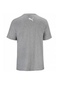 Koszulka Puma Junior Base T-shirt Navy 2-pack, Dzieci. Kolor: szary. Materiał: materiał, bawełna