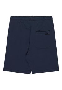 Quiksilver - Spodenki z elastyczną talią EASY DAY. Kolor: niebieski. Materiał: materiał, poliester, bawełna. Długość: krótkie. Sezon: lato