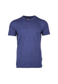 Hi-tec - T-Shirt Męski. Kolor: niebieski