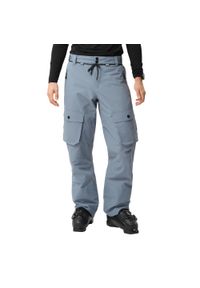 Spodnie narciarskie Colourwear M Flight. Kolor: szary, niebieski, wielokolorowy. Sezon: zima. Sport: narciarstwo #1