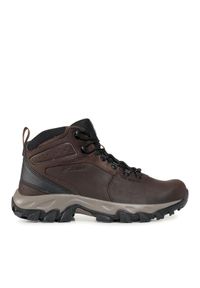 columbia - Columbia Trekkingi Newton Ridge Plus II Waterproof BM3970 Brązowy. Kolor: brązowy. Materiał: skóra. Sport: turystyka piesza