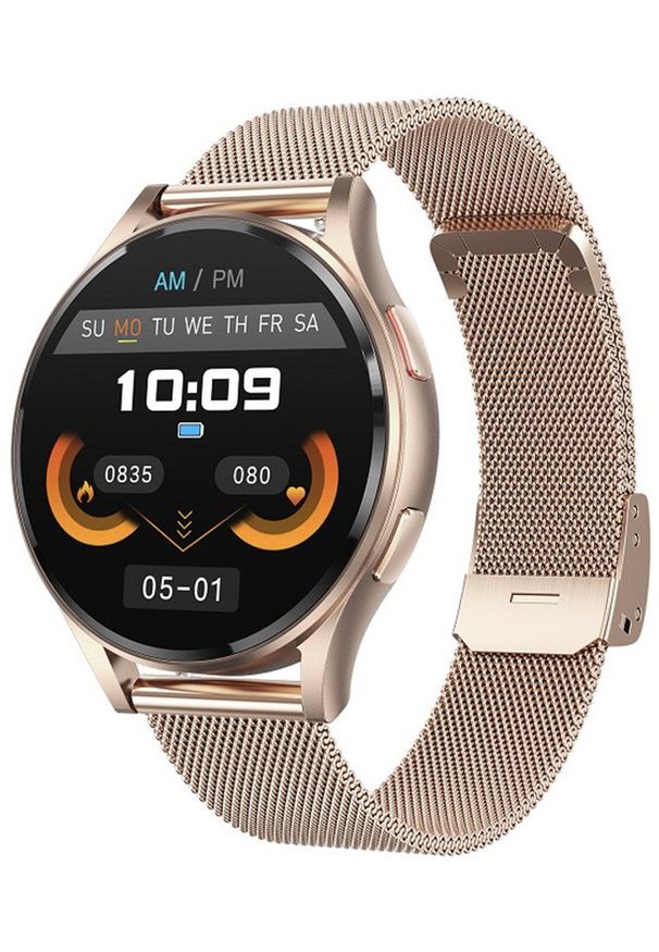 Zegarek Hagen Zegarek męski Hagen HB26.110.1410 różowe złoto. Kolor: złoty, wielokolorowy, różowy