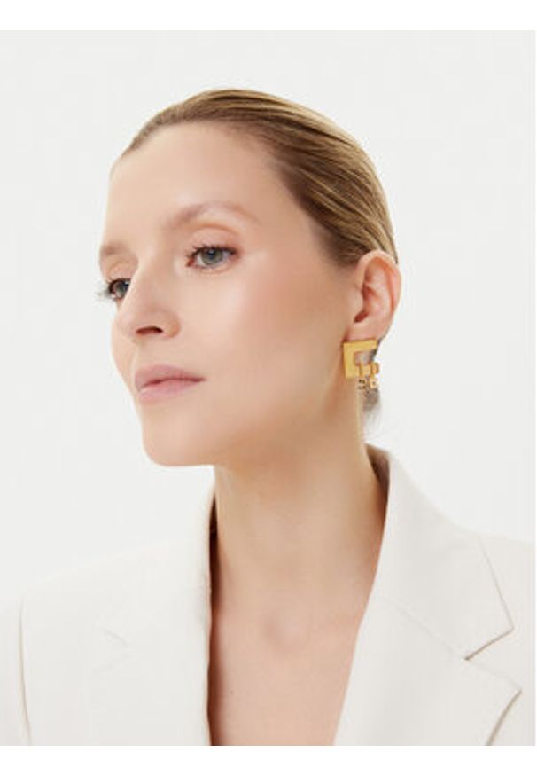 Elisabetta Franchi Kolczyki OR-04A-56E2-V140 Złoty. Materiał: metalowe. Kolor: złoty