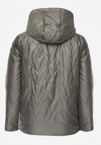 Born2be - Zielona Pikowana Kurtka Przejściowa o Prostym Kroju z Kapturem Vimoris. Okazja: na spacer, na co dzień. Typ kołnierza: kaptur. Kolekcja: plus size. Kolor: zielony. Materiał: poliester, jeans. Styl: casual, elegancki #2