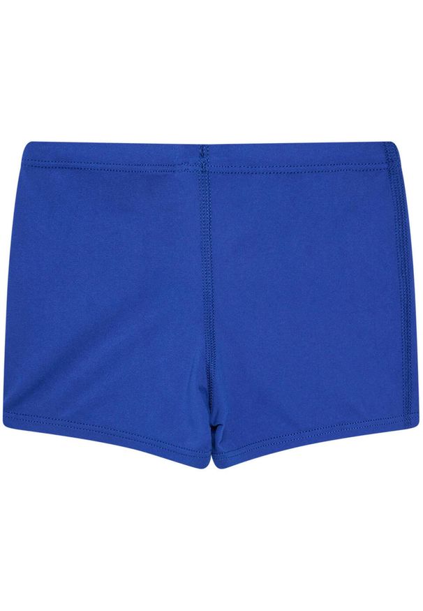 Spodenki do pływania Nike Poly Solid Jr, Niebieski, Dzieci. Kolor: niebieski