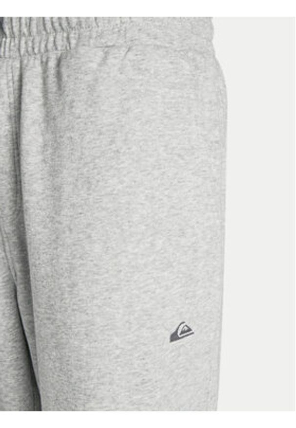 Quiksilver Spodnie dresowe Salt Water AQYFB03034 Szary Regular Fit. Kolor: szary. Materiał: bawełna