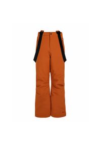 Dziecięce spodnie narciarskie Protest Spiket. Kolor: pomarańczowy. Sezon: zima. Sport: narciarstwo #1