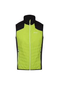 Kamizelka turystyczna męska Halton VI Regatta. Kolor: czarny, zielony, wielokolorowy. Sport: turystyka piesza #1