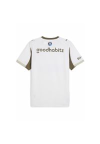 Puma - Męska trzecia koszulka PSV Eindhoven 25/26 PUMA White Desert Dust Beige. Kolor: biały, beżowy, wielokolorowy. Sport: piłka nożna