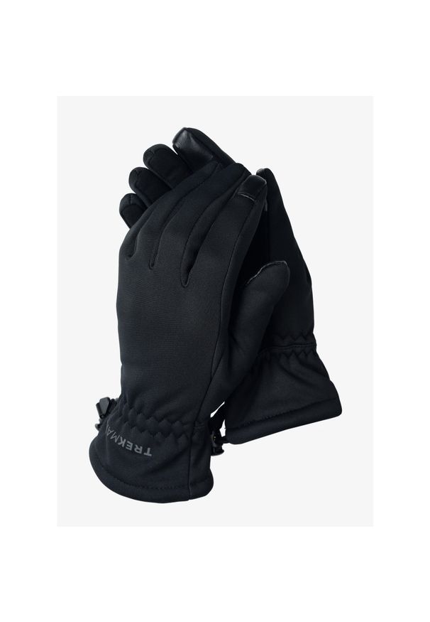 Rękawiczki wiatroszczelne Trekmates Rigg Gloves. Kolor: czarny. Sport: turystyka piesza
