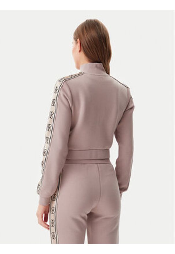 Guess Bluza V3RQ12 KB3P2 Brązowy Regular Fit. Kolor: brązowy. Materiał: bawełna