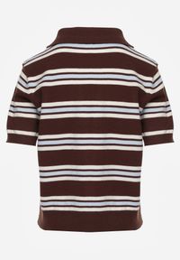 Born2be - Brązowy T-shirt Typu Polo z Wiskozą Ozdobiony Guzikami i Paskami Esefia. Okazja: na co dzień. Typ kołnierza: polo. Kolor: brązowy. Materiał: wiskoza. Wzór: aplikacja. Styl: casual #2