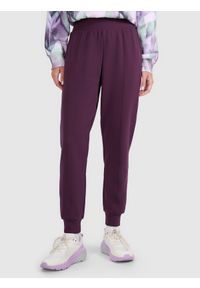 4f - 4F Spodnie dresowe joggery damskie - fioletowe XS. Kolor: fioletowy. Materiał: dresówka. Wzór: gładki, ze splotem. Sport: fitness #2