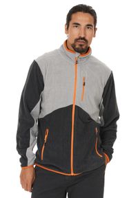 Polar męski Whistler Greyson. Kolor: szary. Materiał: polar. Sport: turystyka piesza