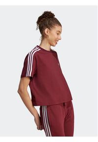 Adidas - adidas T-Shirt Essentials 3-Stripes Single Jersey Crop Top IL3410 Czerwony Loose Fit. Kolor: czerwony. Materiał: bawełna