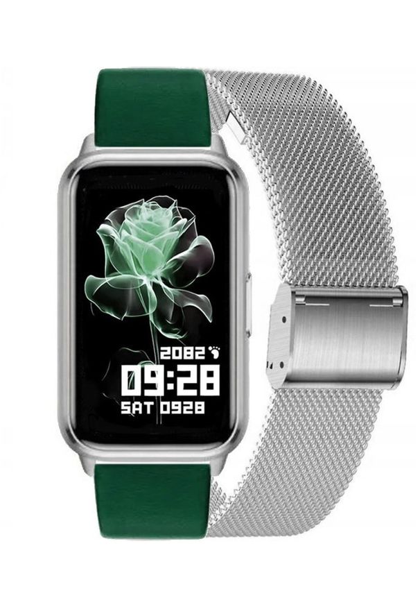 Smartwatch Rubicon Zegarek Damski SMARTWATCH RNCF48-silver/green. Rodzaj zegarka: smartwatch