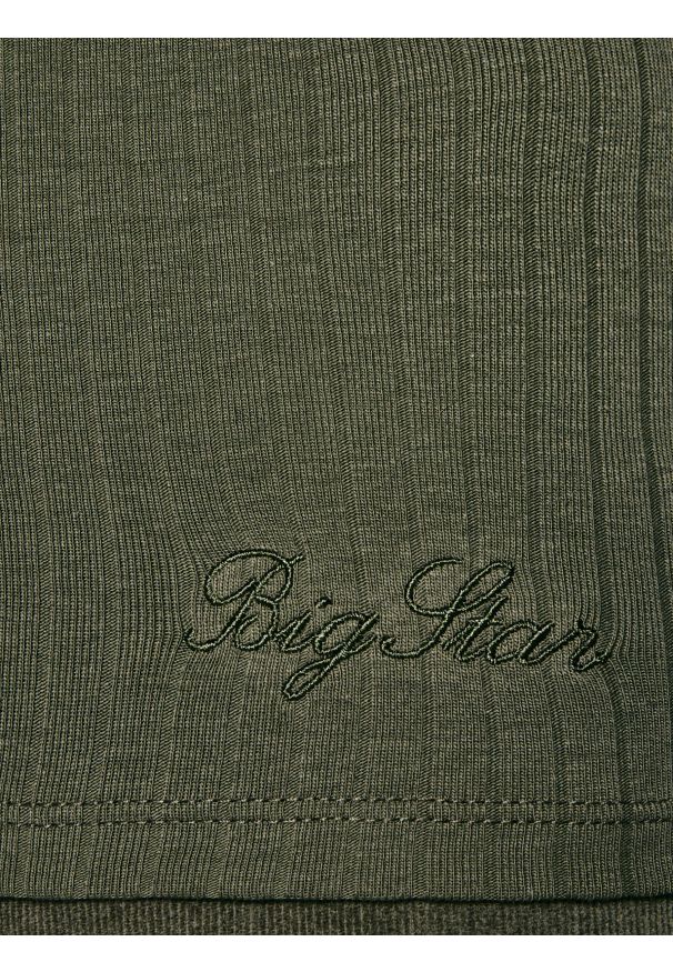 Big-Star - Koszulka damska w prążek khaki Asterca 303. Kolor: zielony. Materiał: dzianina, bawełna, jeans, prążkowany. Długość rękawa: krótki rękaw. Długość: krótkie. Wzór: prążki. Styl: klasyczny, elegancki