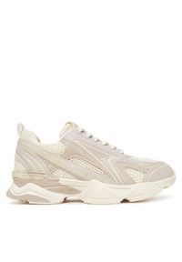 Steve Madden Sneakersy Speedster-E SM19000122 Écru. Materiał: materiał #1