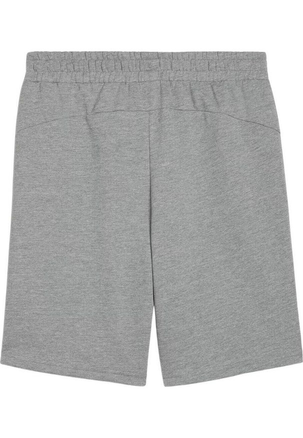 Spodenki sportowe męskie Puma teamGOAL Casuals. Kolor: szary