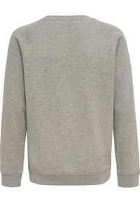 Bluza dziecięca Hummel Red Classic. Kolor: szary. Sport: joga i pilates