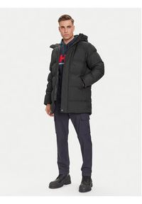 Helly Hansen Kurtka zimowa Alby Puffy 54133 Czarny Regular Fit. Kolor: czarny. Materiał: syntetyk. Sezon: zima