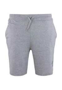 ZFOAM - Glemo ATHL DPT Szorty Męskie 100% Bawełna. Kolor: szary, niebieski, wielokolorowy, biały. Materiał: bawełna. Długość: krótkie. Wzór: napisy. Sezon: lato #1