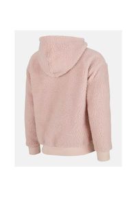 Bluza sportowa damska Champion Hooded Full Zip Sweat. Typ kołnierza: kaptur. Kolor: beżowy