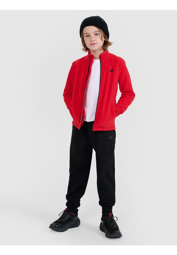 4f - 4F Polar regular ze stójką chłopięcy - czerwony 158 (12-13 lat). Typ kołnierza: kołnierzyk stójkowy. Kolor: czerwony. Materiał: polar. Wzór: gładki. Sezon: lato. Sport: wspinaczka, snowboard, turystyka piesza, narciarstwo