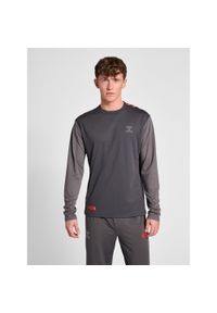 Dżersej z długim rękawem Hummel Pro Grid Game. Kolor: szary. Materiał: jersey. Długość rękawa: długi rękaw. Długość: długie. Sport: piłka ręczna #1