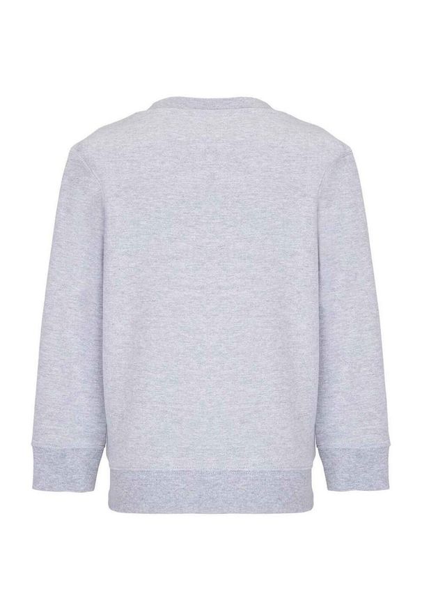 SOL'S - Bluza Dziecięca Columbia. Kolor: szary