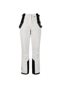 Spodnie narciarskie dla kobiet Whistler Drizzle 10000. Kolor: biały. Sezon: zima. Sport: narciarstwo #1