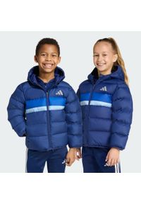 Adidas - Kurtka Synthetic Down Kids. Typ kołnierza: kaptur. Kolor: niebieski. Materiał: puch